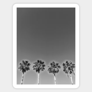 Palms Sticker